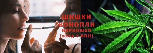 индика Медногорск