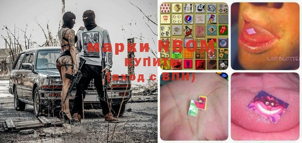 индика Магас