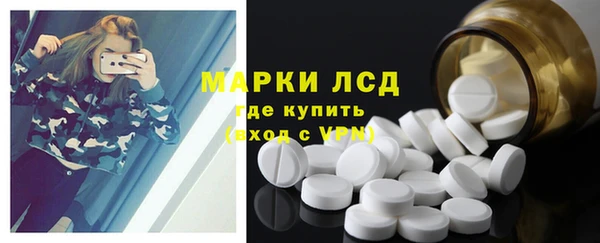 индика Медногорск