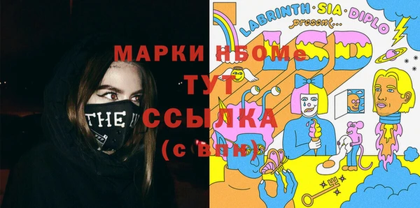 индика Магас