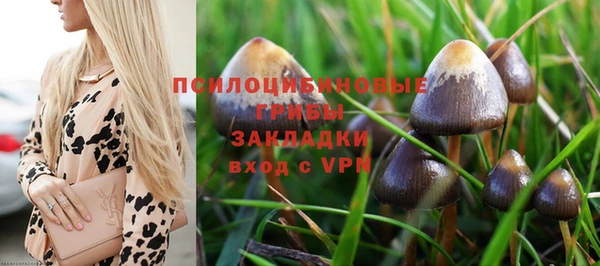 индика Медногорск