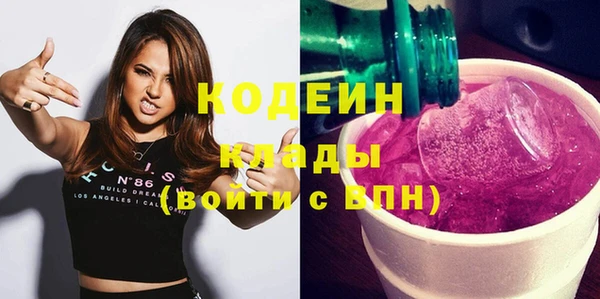 индика Магас