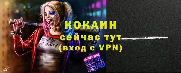 индика Магас