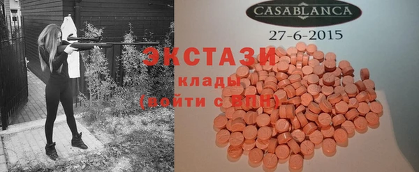 индика Магас