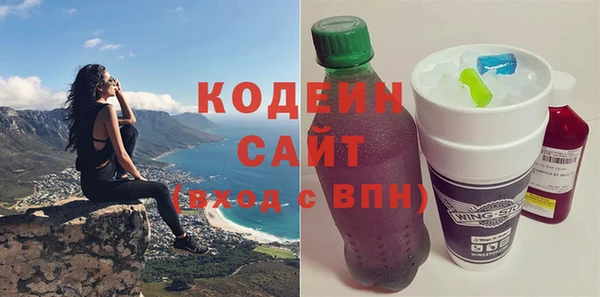 индика Медногорск