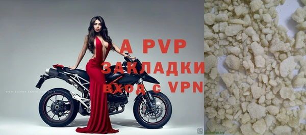 индика Магас