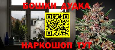 индика Бузулук