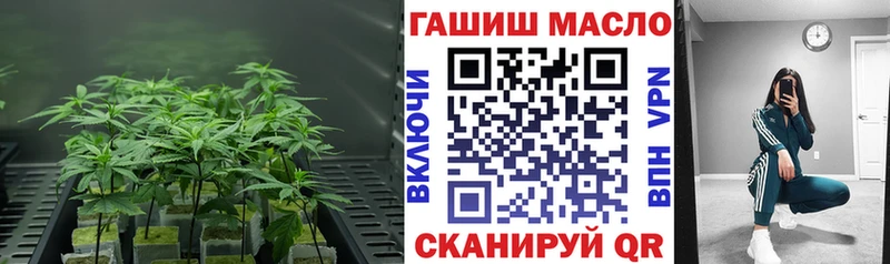 цены   маркетплейс наркотические препараты  Дистиллят ТГК концентрат  Тында 