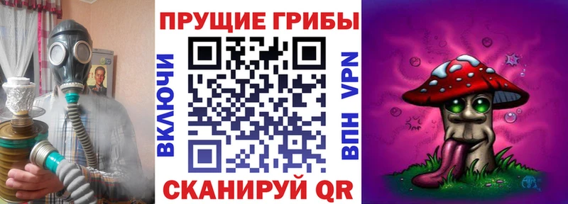Галлюциногенные грибы Cubensis Тында