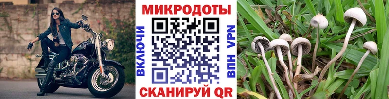 Псилоцибиновые грибы мицелий  Тында 