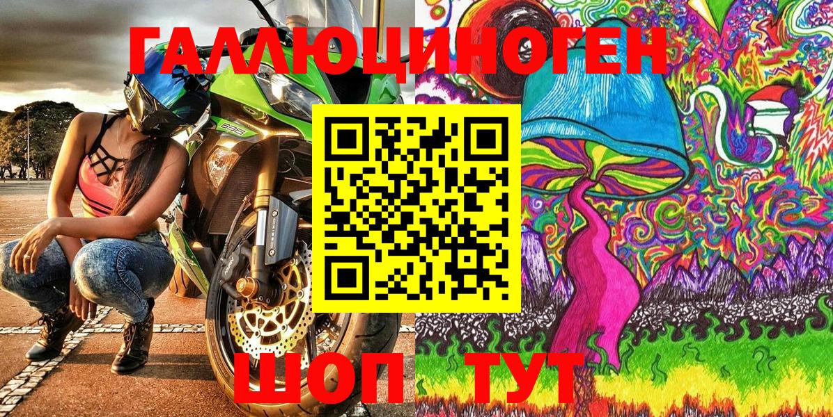 Псилоцибиновые грибы MAGIC MUSHROOMS  хочу наркоту  Псилоцибиновые грибы GOLDEN TEACHER  Тында 