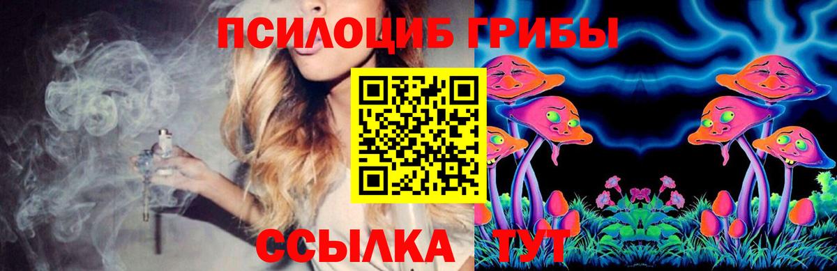 Галлюциногенные грибы Cubensis Тында