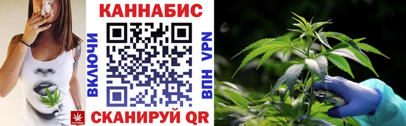 где можно купить наркотик  Тында  Конопля MAZAR 