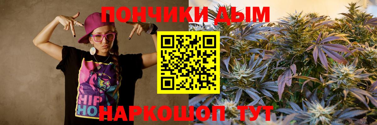 Конопля конопля  Конопля индика  Каннабис семена  Тында  Канабис сатива 